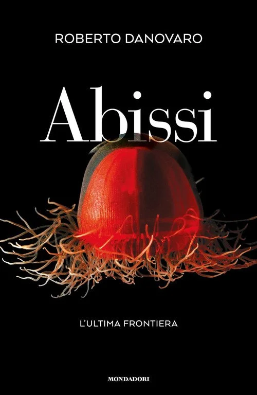 libreriacortinamilano-1202606221239281702586