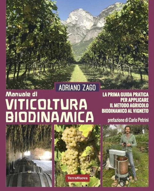 libreriacortinamilano-1202606221352271718397