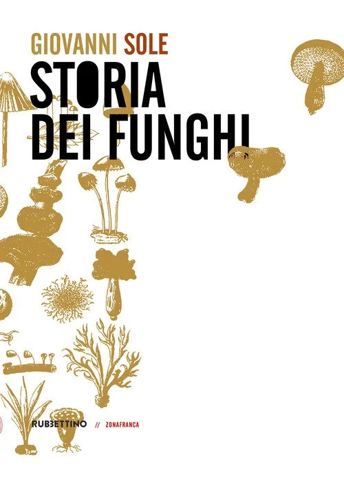 libreriacortinamilano-1202606221459451730517