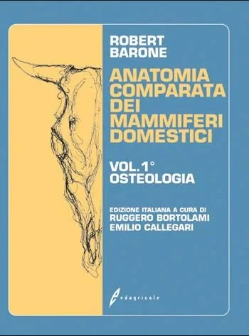 libreriacortinamilano-3202606240919482271544