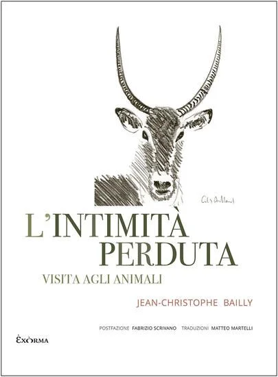 libreriadantealighieri-1202606220952211670291