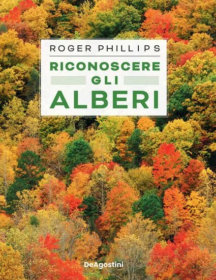 libreriadantealighieri-1202606221818321771357