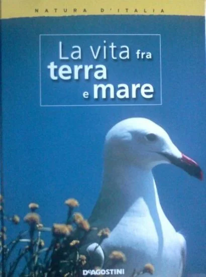libreriadantealighieri-1202606221856441779975