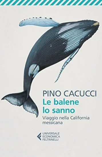 libreriadantealighieri-1202606230227411878726