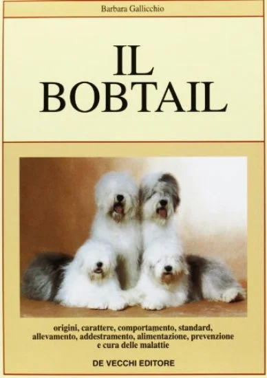 libreriadantealighieri-1202606230413021901231