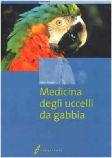libreriadantealighieri-1202606230421011902938