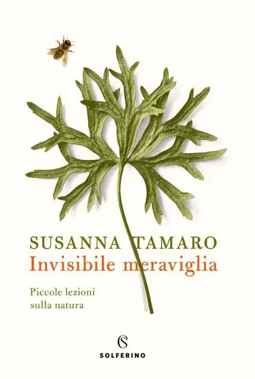 libreriadantealighieri-2202606232135232123210