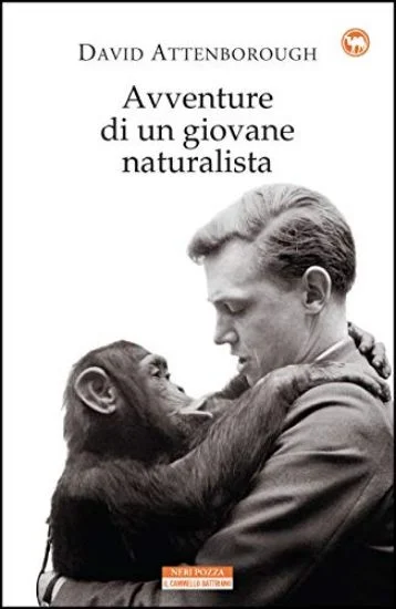 libreriadantealighieri-2202606240513512224389