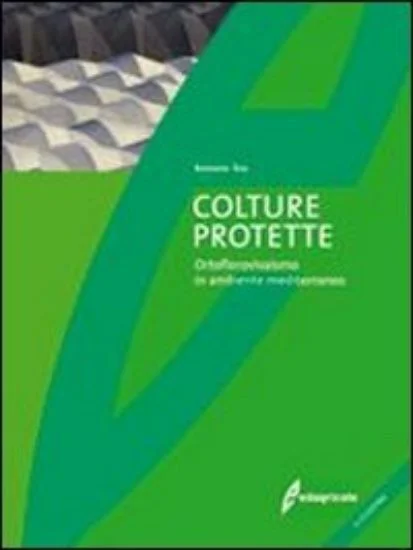 libreriadantealighieri-2202606240635342241574