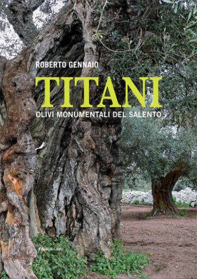 libreriadantealighieri-2202606240729422253747