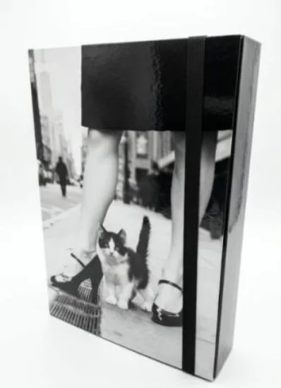 libreriadantealighieri-3202606230945171967703