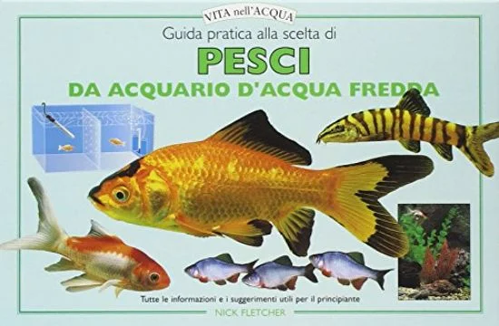 libreriadantealighieri-3202606240335092204191