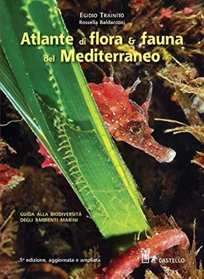 libreriadantealighieri-3202606240646162243943